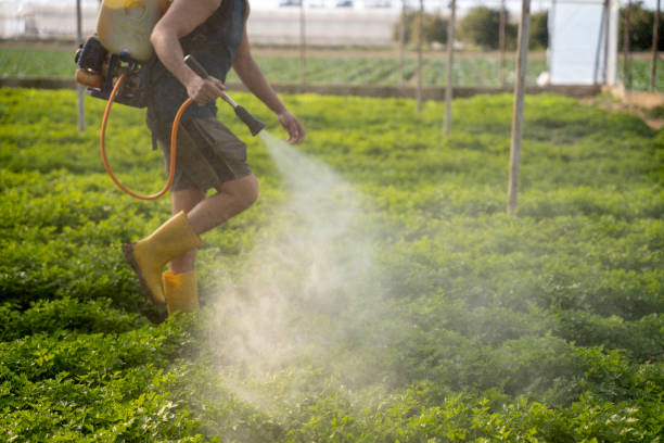 Best Exterminator Services  in Lewisburg, TN