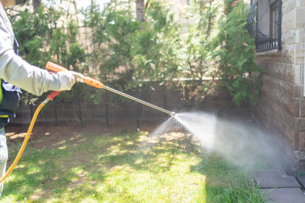 Best Termite Control Services  in Lewisburg, TN